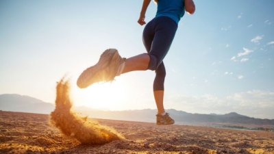 Какие мышцы работают при беге? Основные виды бега. Анатомия ног