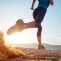 Какие мышцы работают при беге? Основные виды бега. Анатомия ног